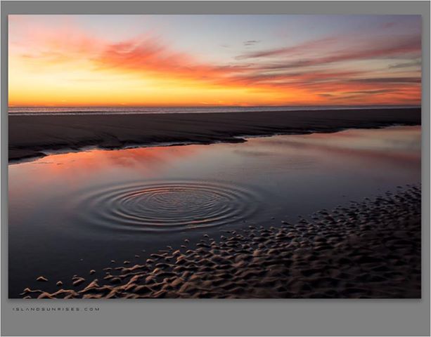 541721_291174490985870_734163982_n