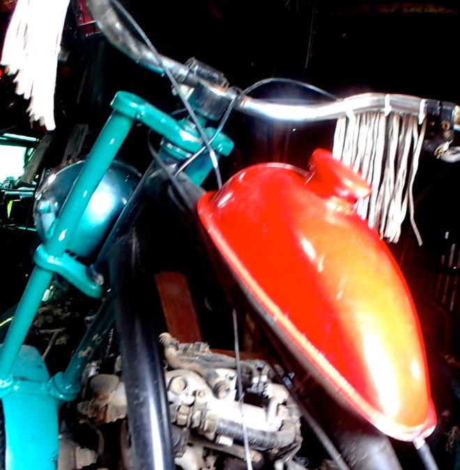 OLYMPUS DIGITAL CAMERA