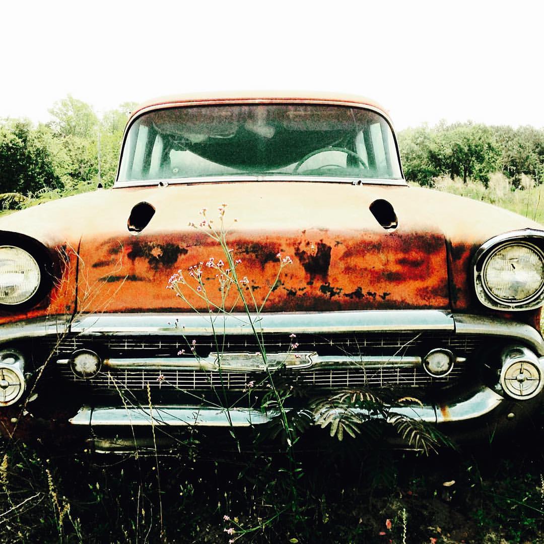 18237935_10212576551150337_7672371408306905436_o