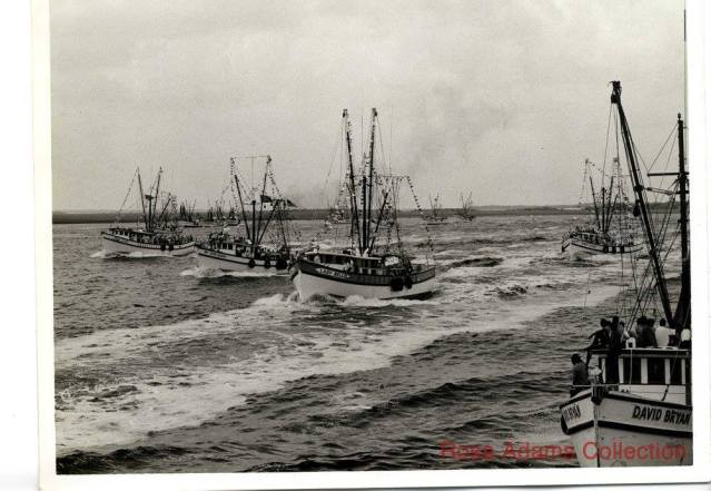 16992040_1716819941665410_6043401306897820805_o